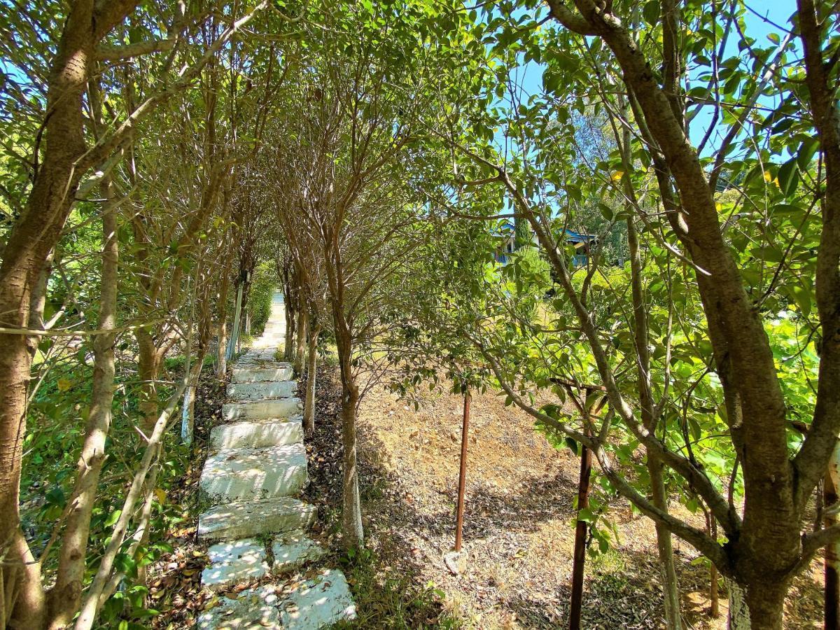 Ramo'S Cozy Beachside Haven With Panoramic Views - 2Nd Vlorë Εξωτερικό φωτογραφία